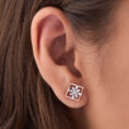 Stellar Chic Earrings