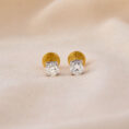 Eternal Shine Earrings