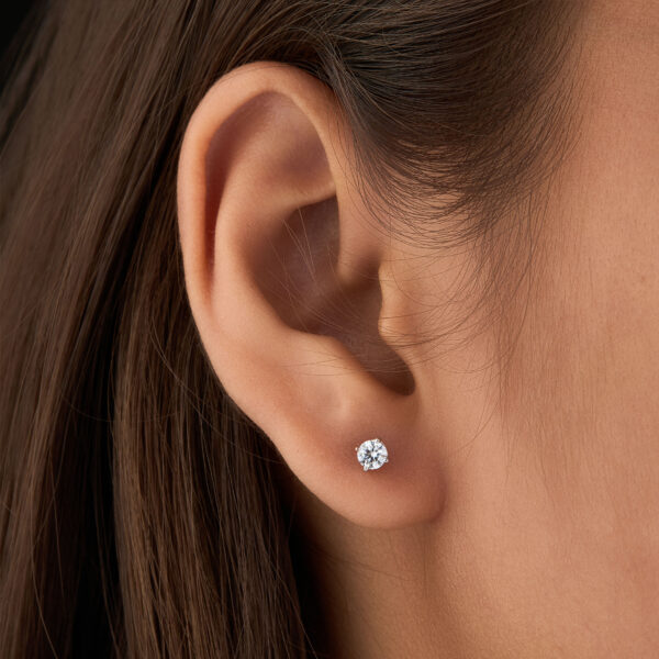Eternal Shine Earrings